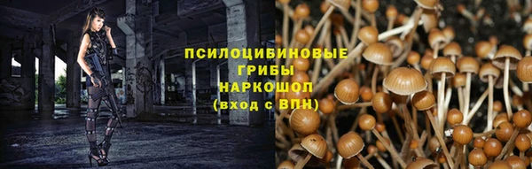 тгк Армянск